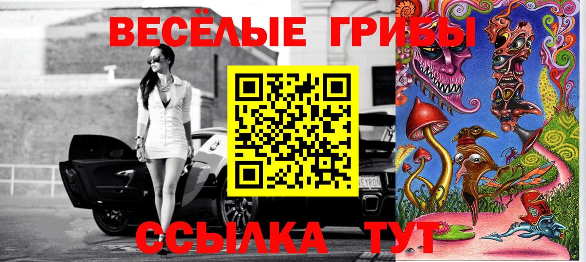 Галлюциногенные грибы ЛСД  Вход с VPN  Черняховск  Псилоцибиновые грибы мухоморы 