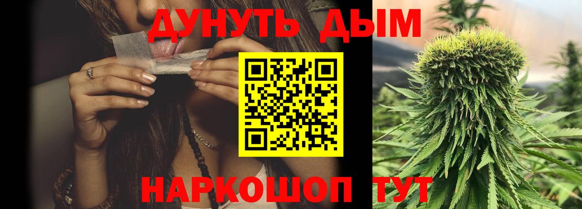 Шишки марихуана тримм  Конопля гибрид  Бошки марихуана планчик  Вход с VPN  Каннабис сатива  Черняховск 